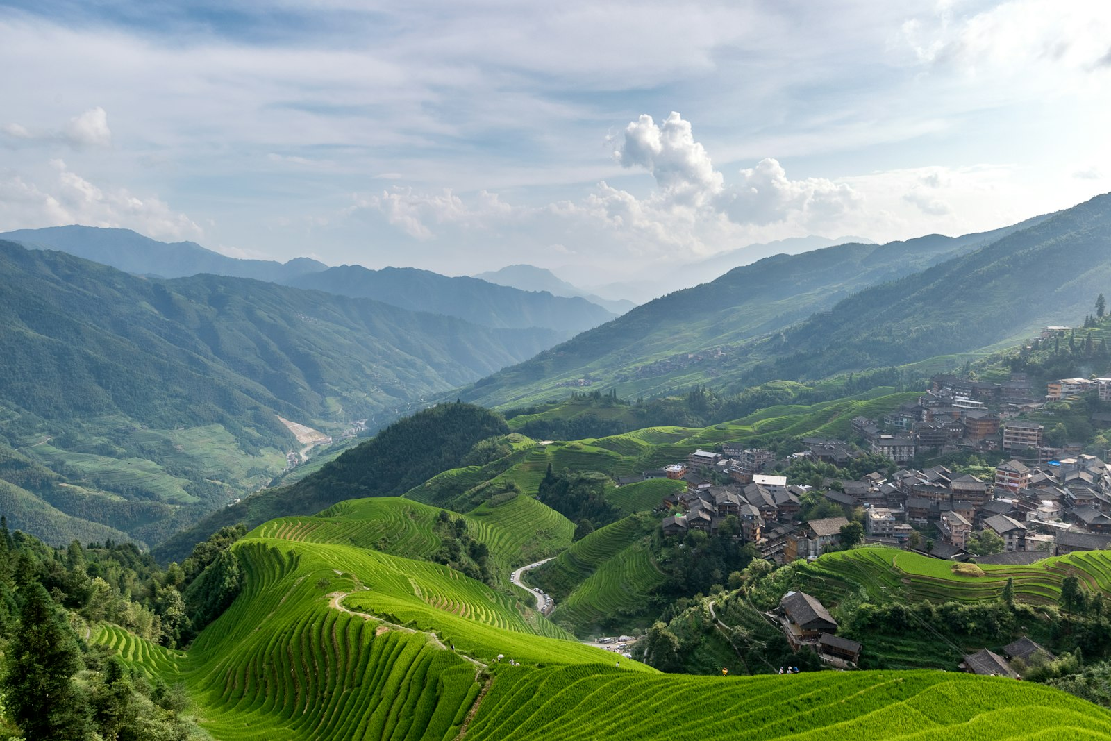 Traditional sustainable mushroom farm in Qingyuan, China